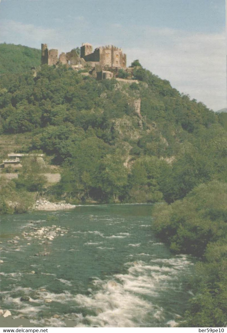 couleur vert (3).jpg